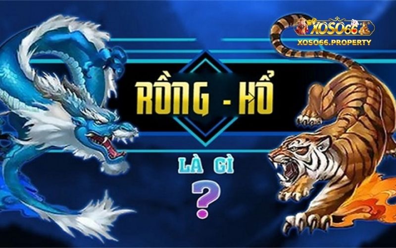 Rồng hổ Xoso66: Bí Kíp Chơi Rồng Hổ Bách Chiến Bách Thắng