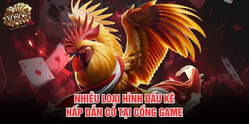 Nhiều loại hình đấu kê hấp dẫn có tại cổng game